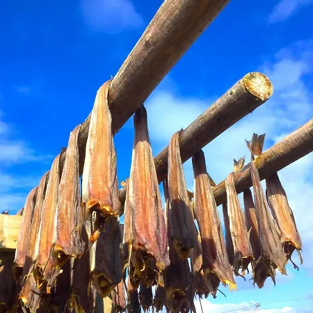 Fishermans Dock Lofoten 샬레 발스타드